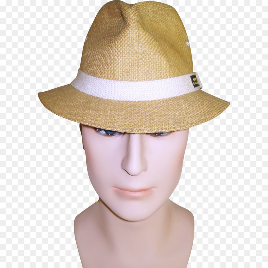 солнце шляпа，фетровая PNG
