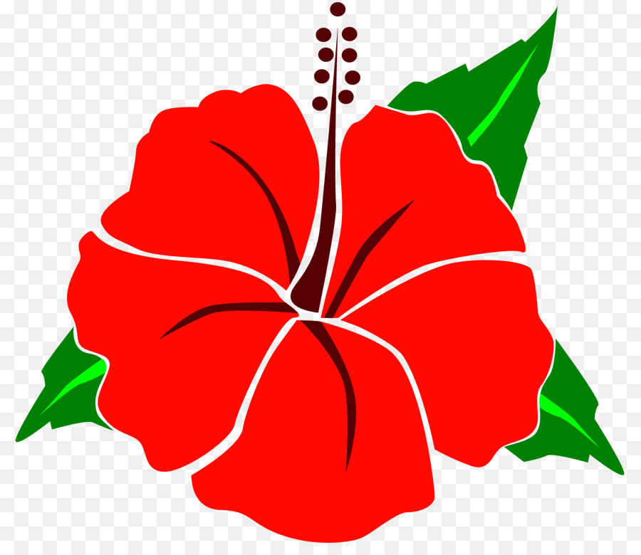 росемалловс，цветочный дизайн PNG