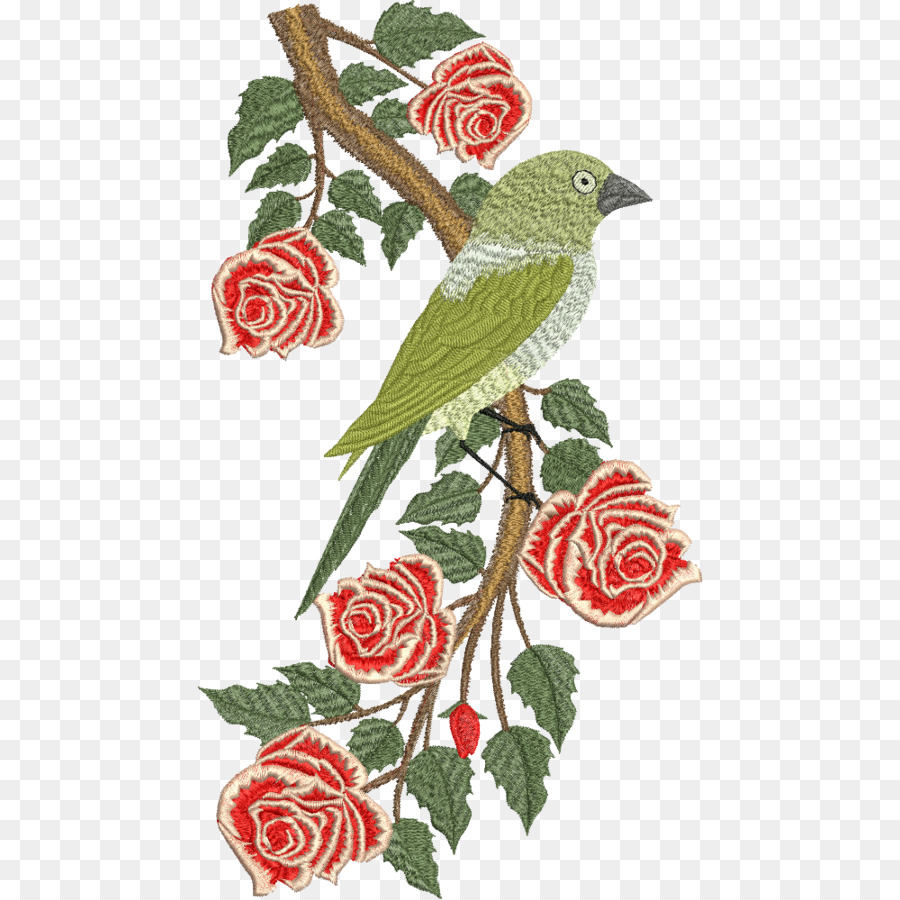 сад роз，птица PNG