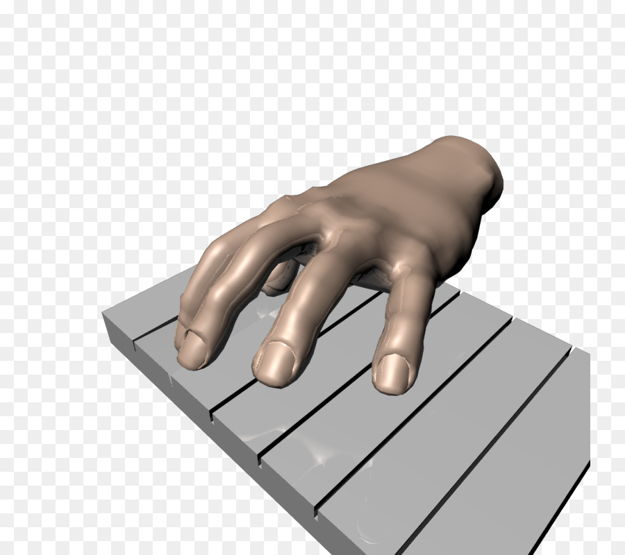 рука модель，большой палец PNG