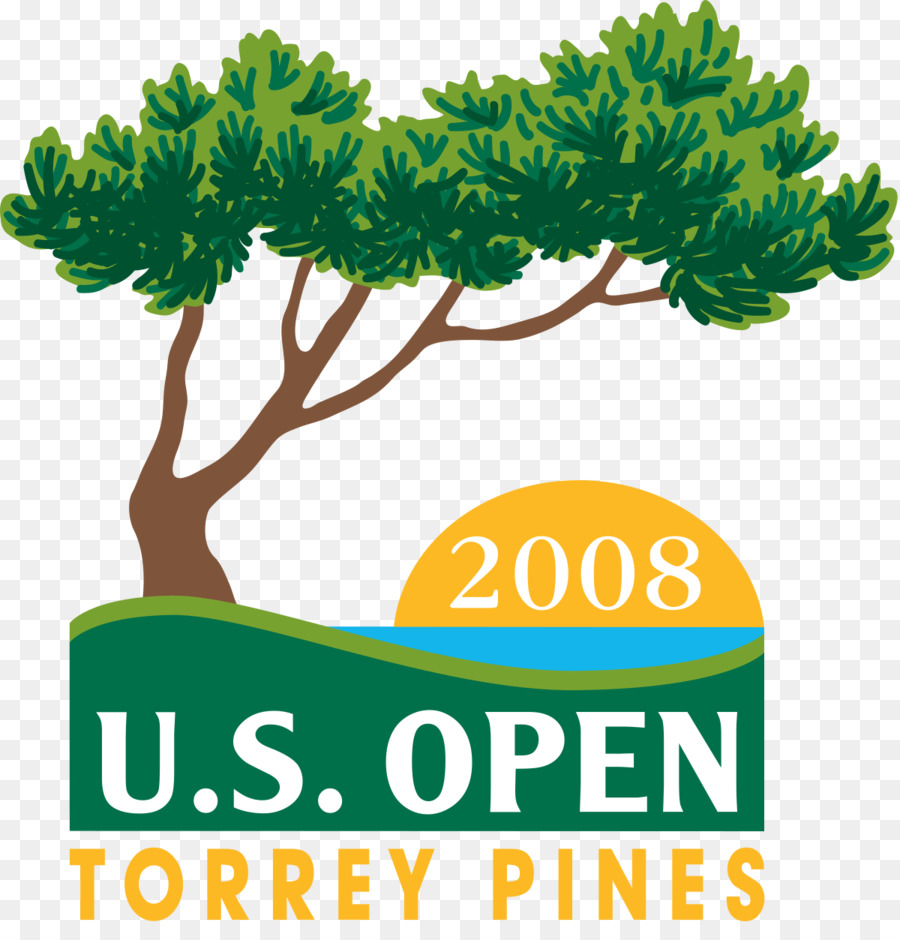 2008 США открытый，2009 США Open PNG