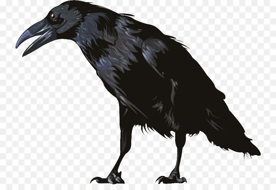 Американская ворона，графическое программное обеспечение PNG