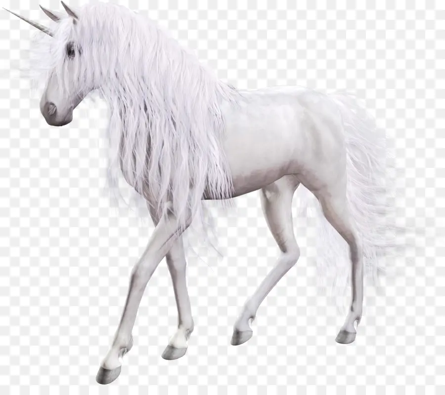 единорог，лошадь PNG