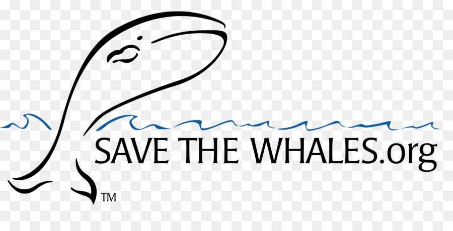 логотип，китообразных PNG