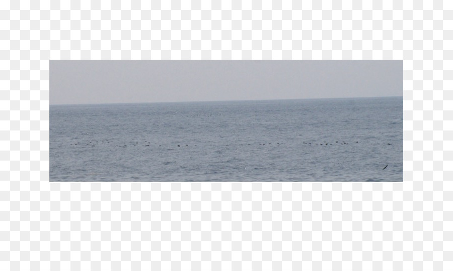 море，океан PNG