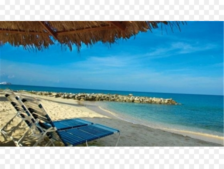 Flamingo Beach Resort Oteleth，Flamingo Beach Resort от Diamond Resorts PNG