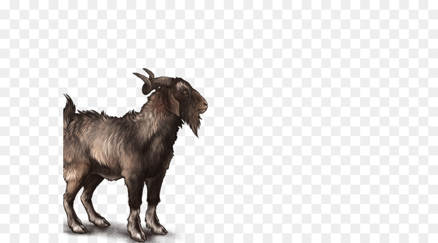 коза，фауна PNG