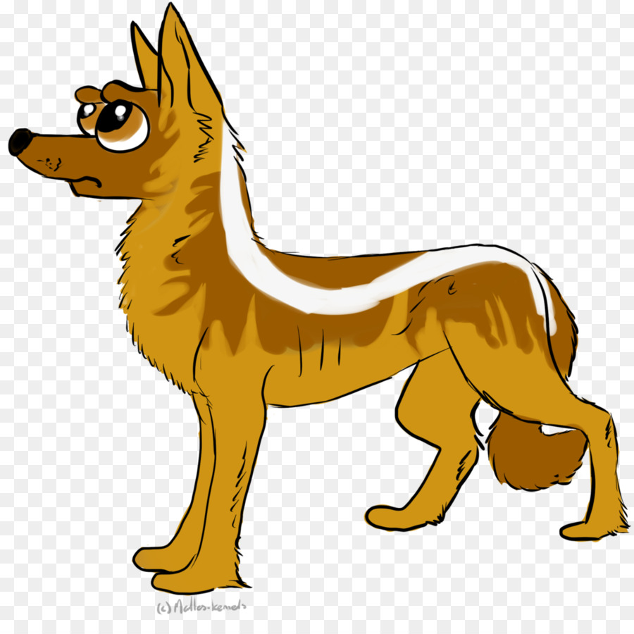 собака породы，красная лиса PNG