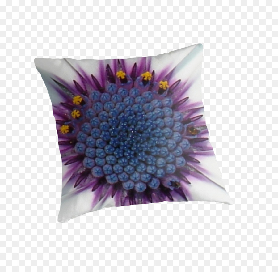 Cushion，фиолетовый PNG