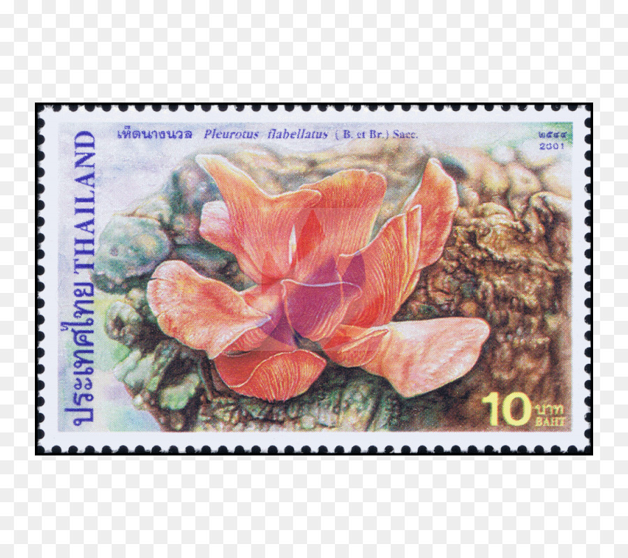 почтовые марки，Цветущее растение PNG