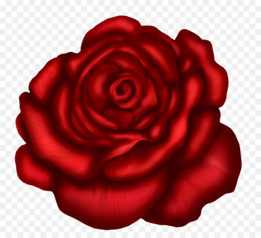 роза，искусство PNG
