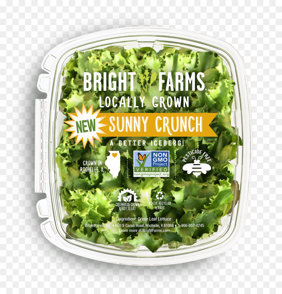 Lettuce，Brightfarms PNG