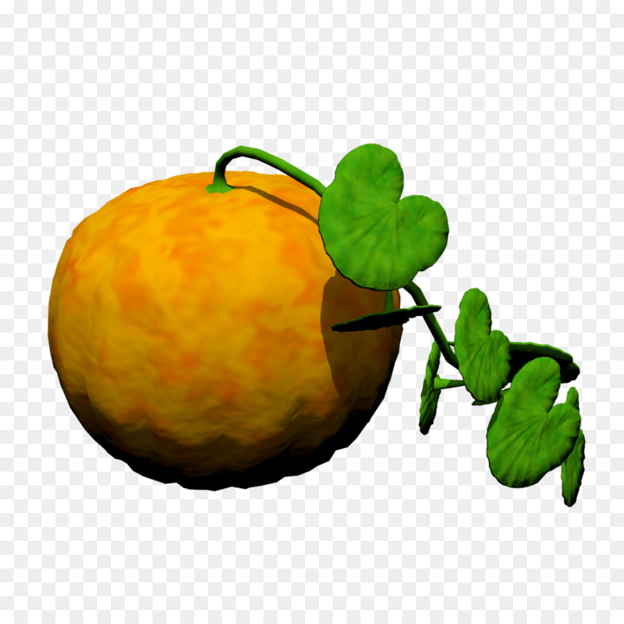 Gourd，зимний сквош PNG