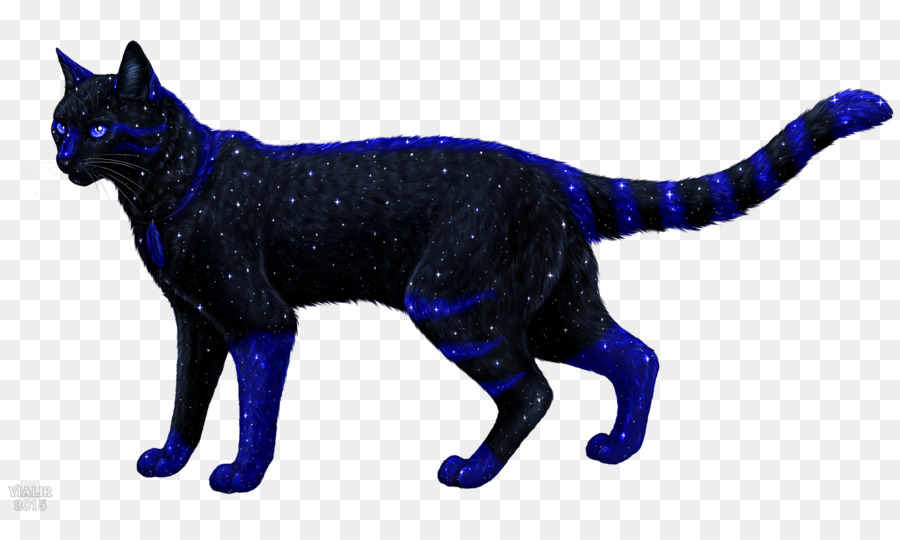 черный кот，кошка PNG