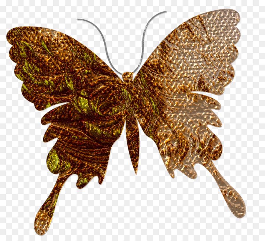 Brushfooted бабочки，бабочка PNG