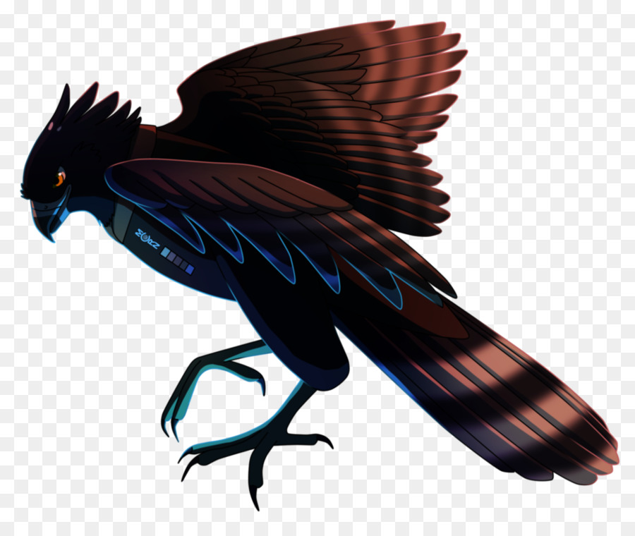 Орел，черный Hawkeagle PNG