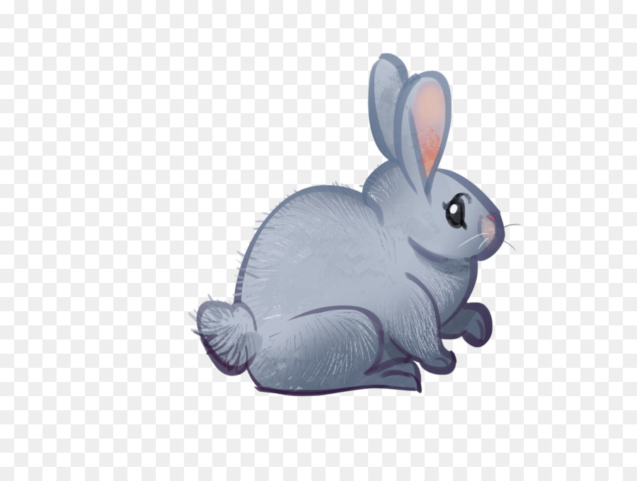 домашний кролик，заяц PNG