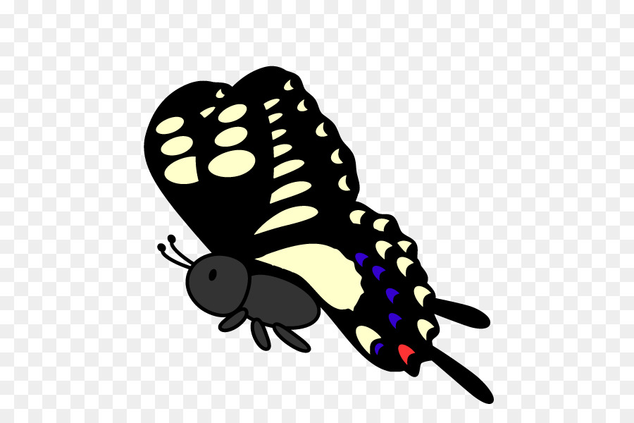 Бабочки с щеткой，бабочка PNG