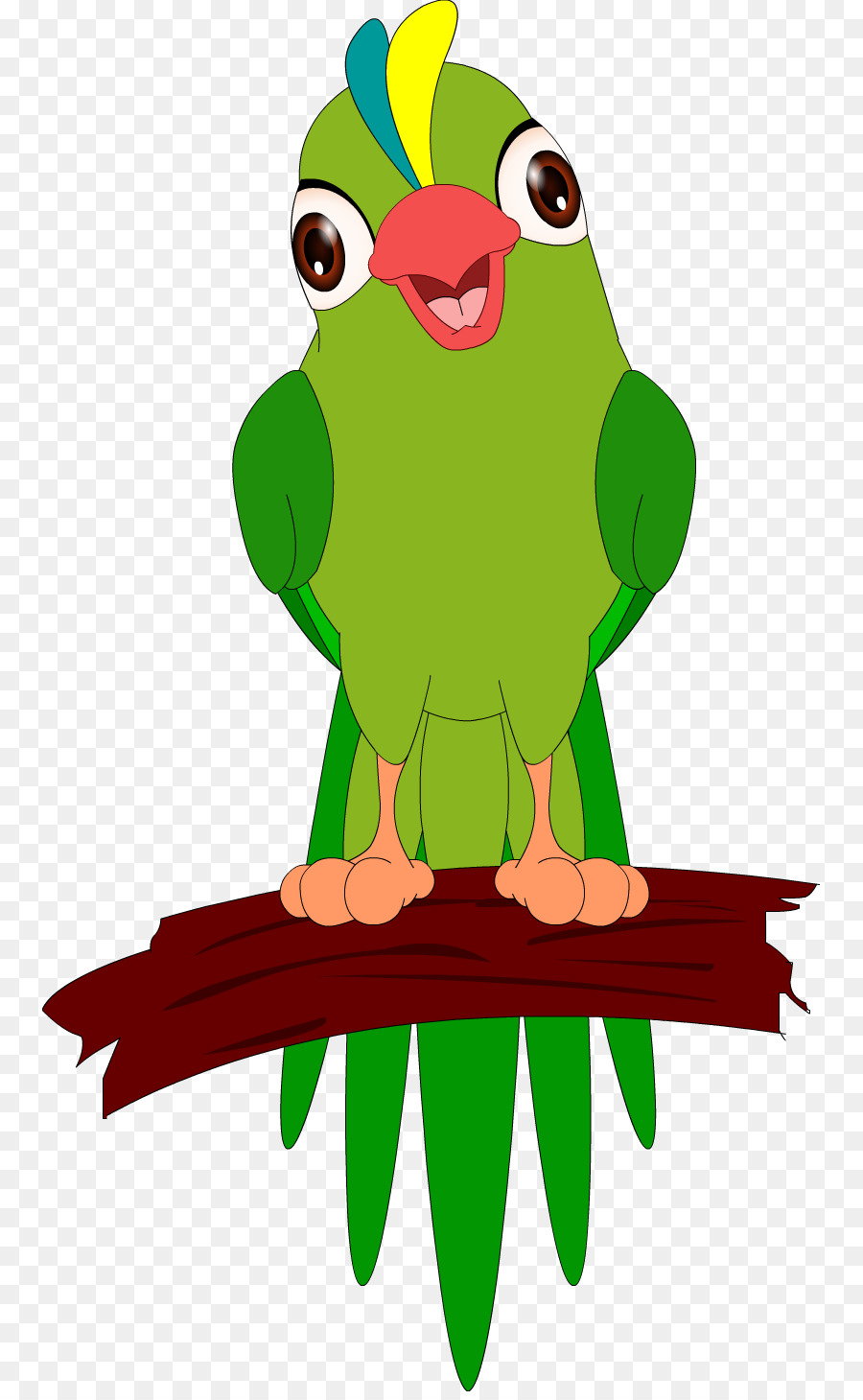 Ара，Parakeet PNG