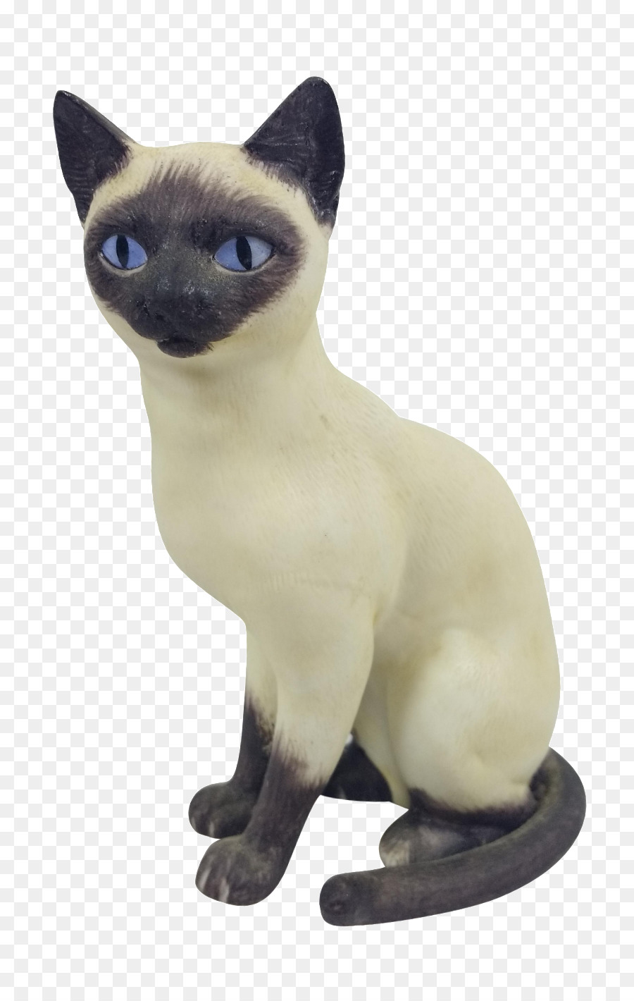 сиамская кошка，тонкинские кошки PNG