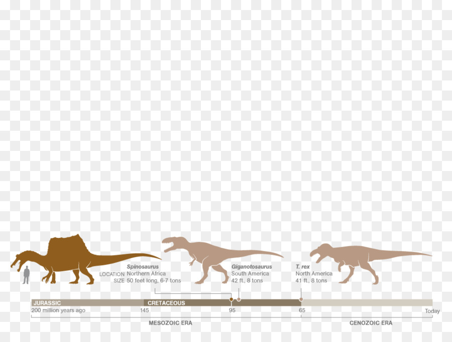 спинозавр，гиганотозавр PNG