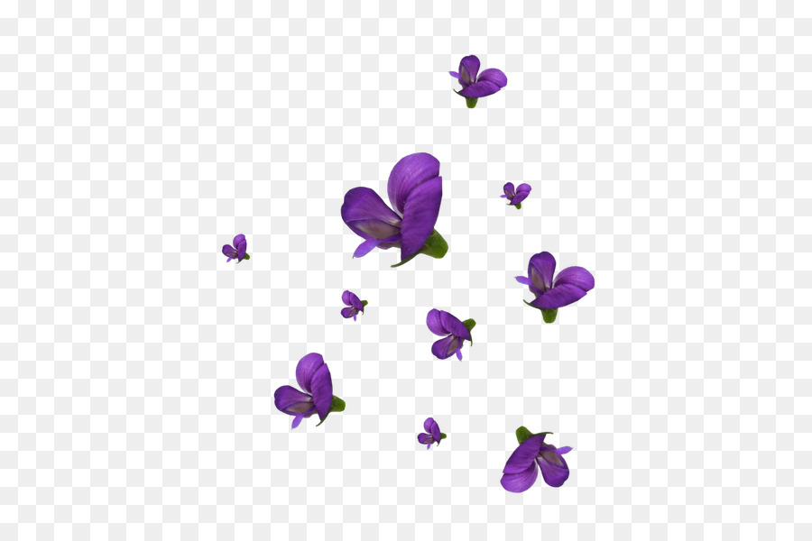 фиолетовый，срезанные цветы PNG