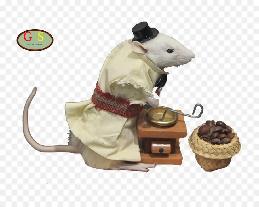 компьютерная мышь，Muridae PNG