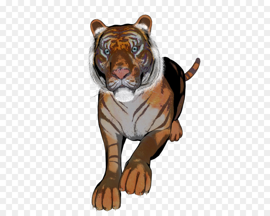 тигр，Лев PNG