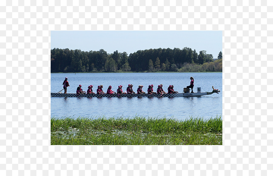 Rowing，каноэ PNG