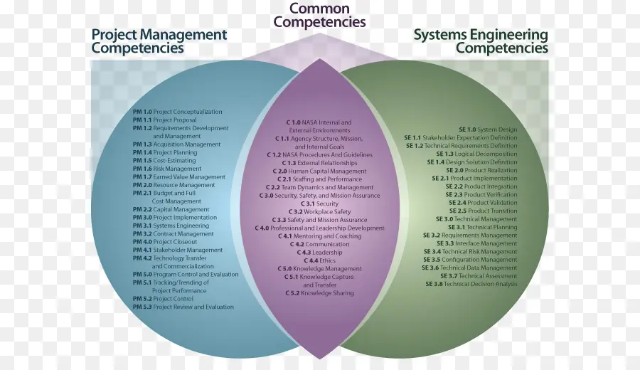 Диаграмма компетенций，Управление проектом PNG