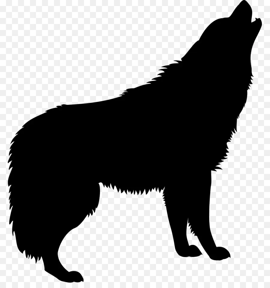 серый волк，силуэт PNG