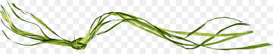 лист，Grasses PNG
