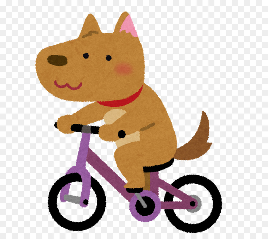 велосипед，кошка PNG