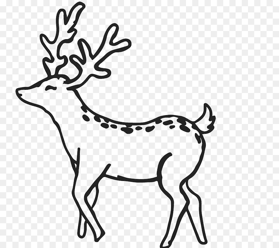 Reindeer，пантовые PNG