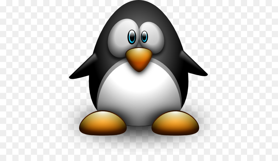 пингвин，гагарка PNG