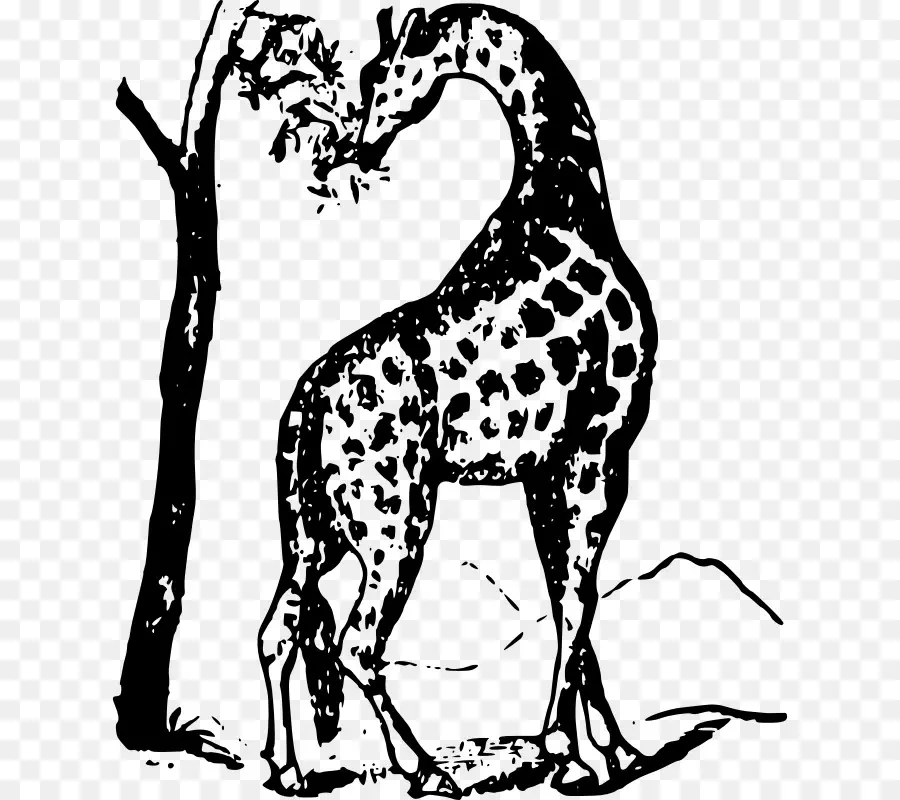 жираф，собака PNG