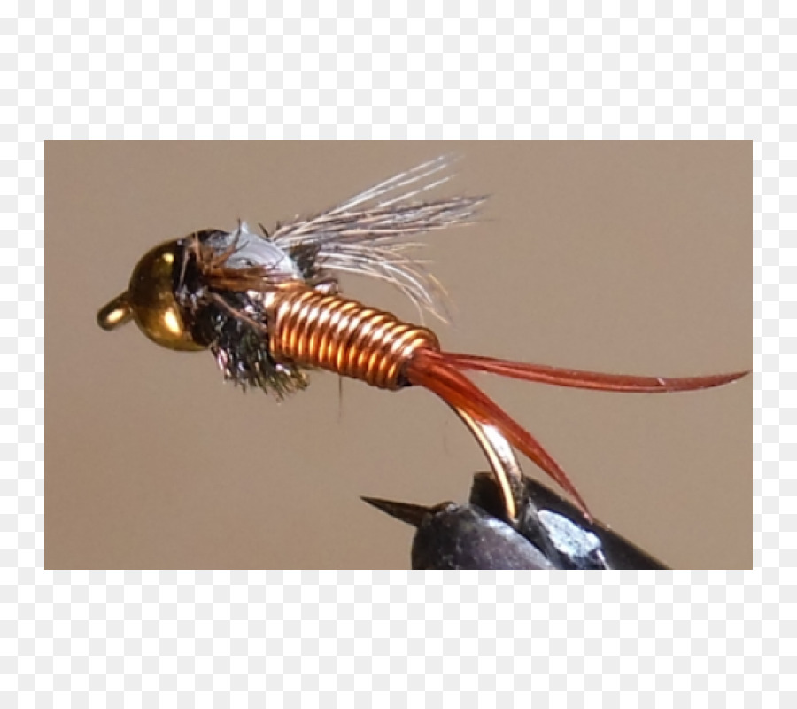 насекомое，искусственная муха PNG
