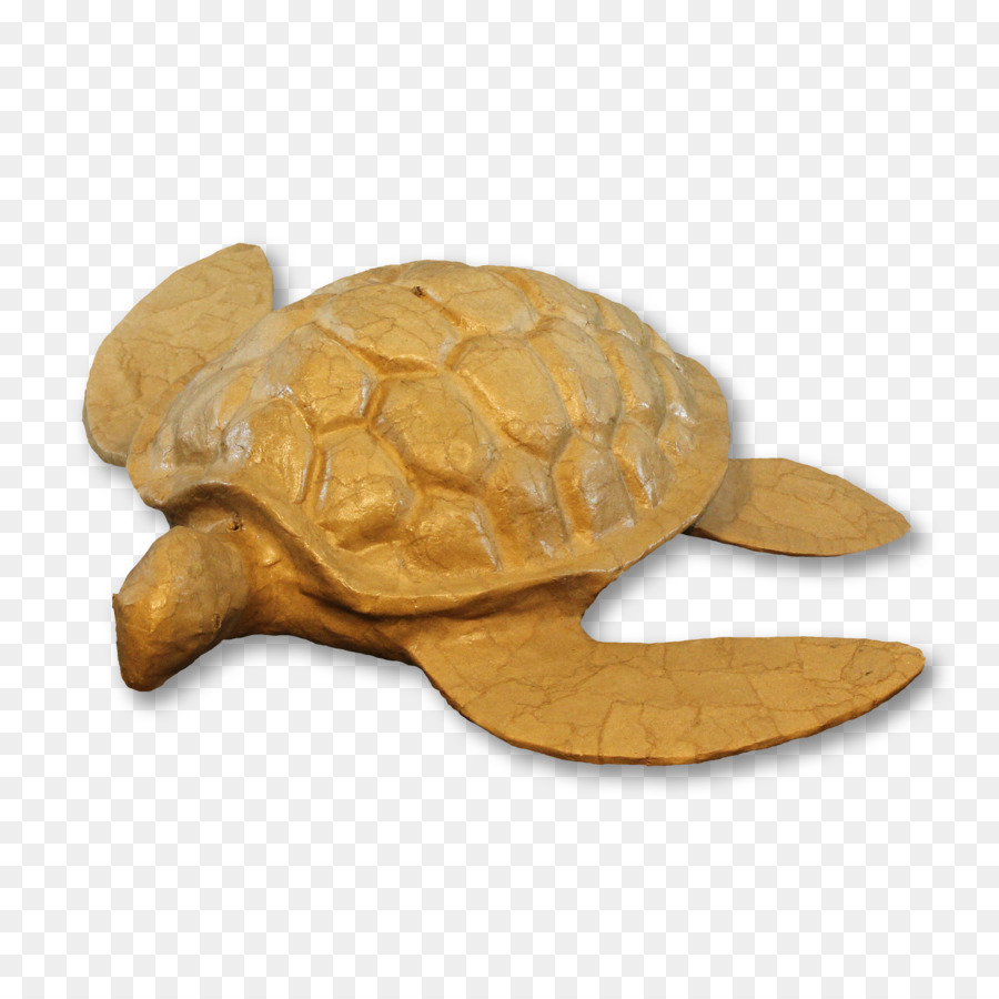 урна，черепаха PNG