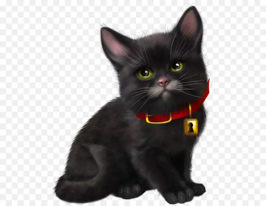 Черная кошка，Котенок PNG