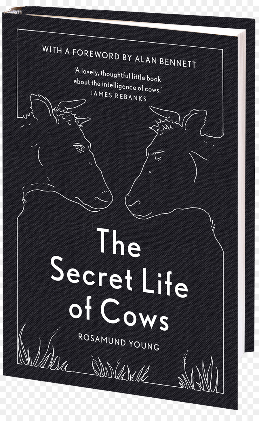 тайная жизнь коров，крупный рогатый скот PNG
