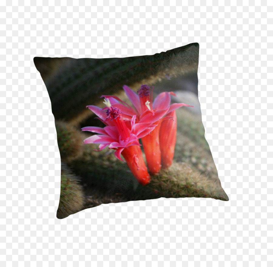 подушки，Cushion PNG