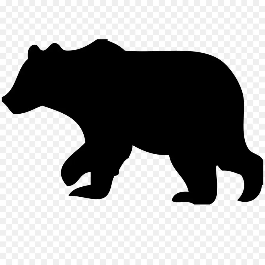 американский черный медведь，медведь PNG