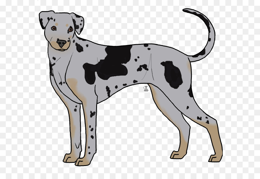 далматин собака，собака породы PNG