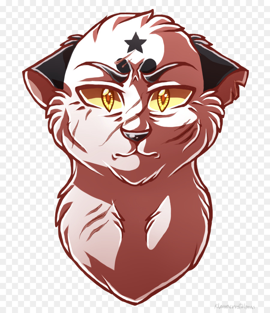 Кот со звездочкой，кошачий PNG