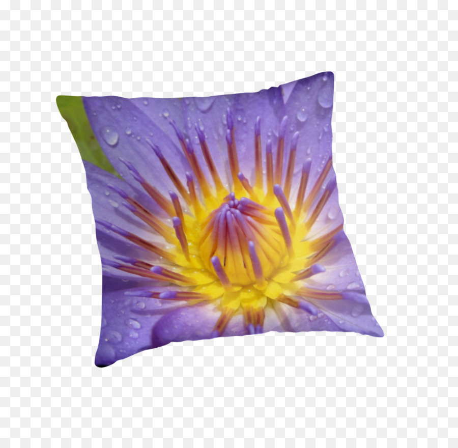 Cushion，подушки PNG