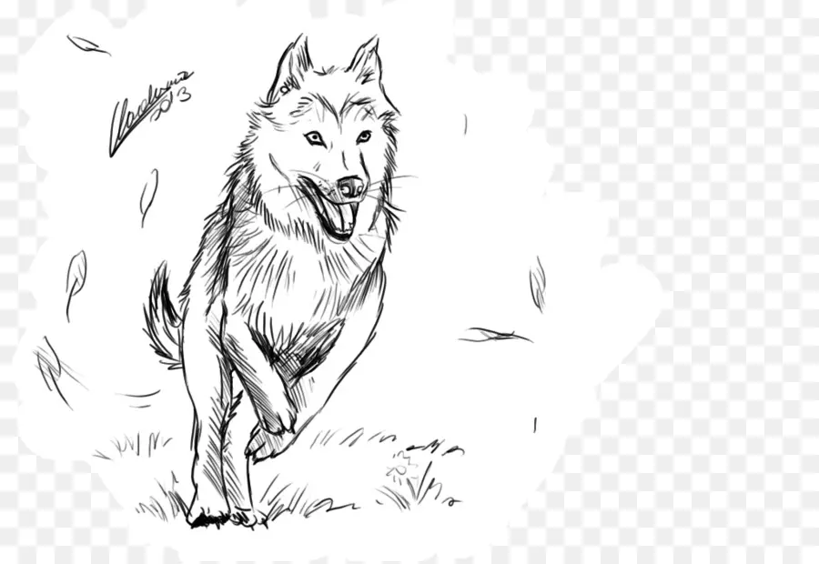 красная лиса，серый волк PNG