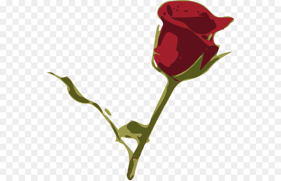 сад роз，лепесток PNG