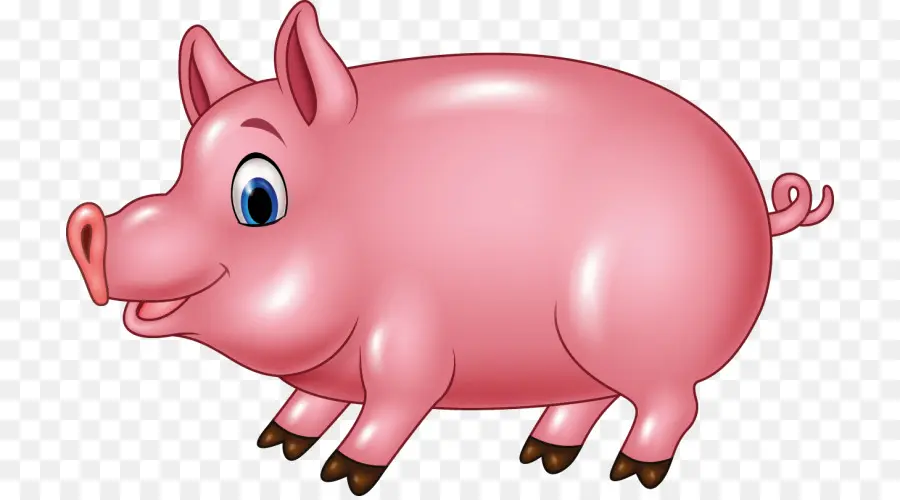 свинья，рисунок PNG