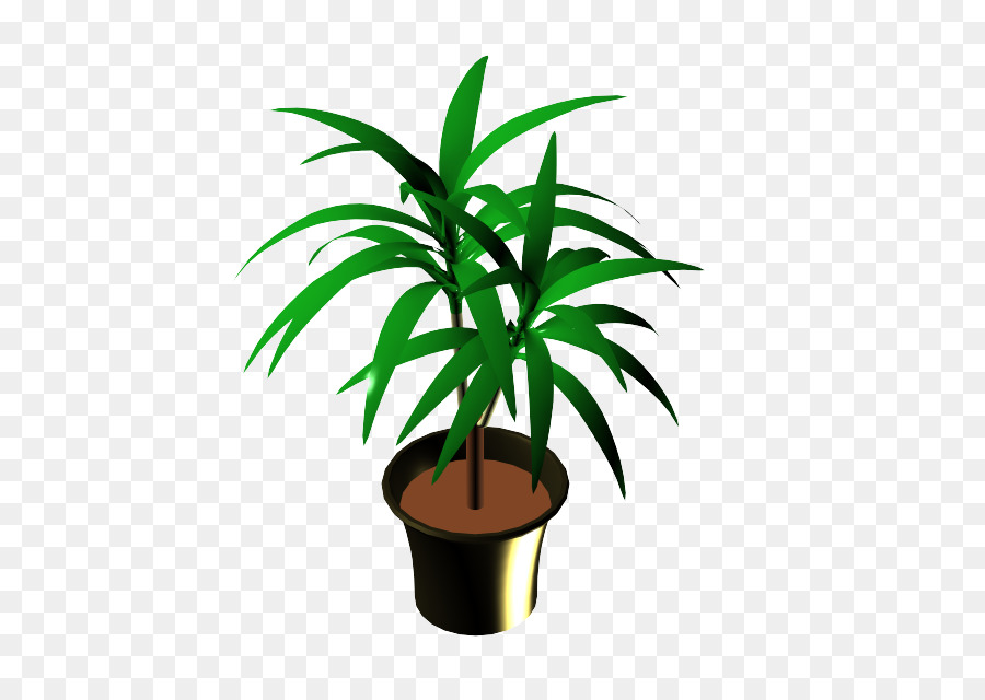Arecaceae，горшок PNG