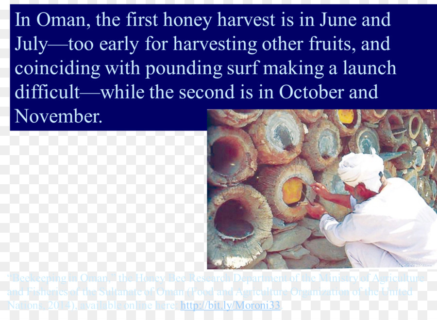 Пчелка，пчеловодство PNG